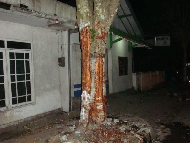 Tragedi Songgoriti 2009: Sembilan Mahasiswa Tewas Setelah Daihatsu Taruna Menabrak Pohon