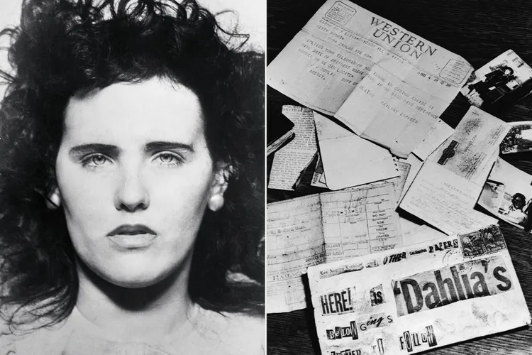 THE BLACK DAHLIA